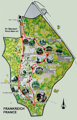 naturlehrpfad_ellergronn